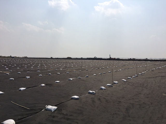 geiotextile application 1